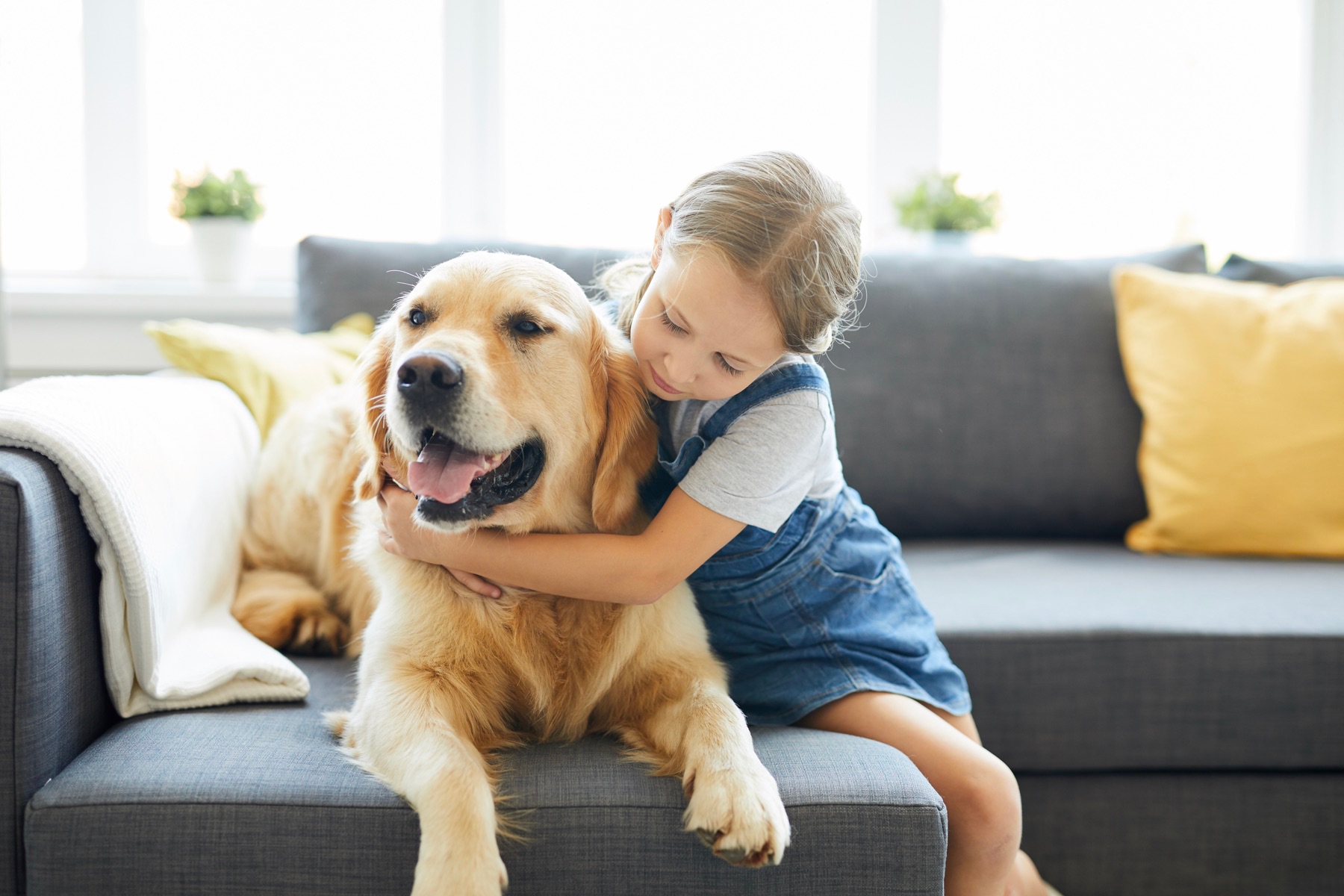 Creating the Perfect Parenting Plan - 6 Steps