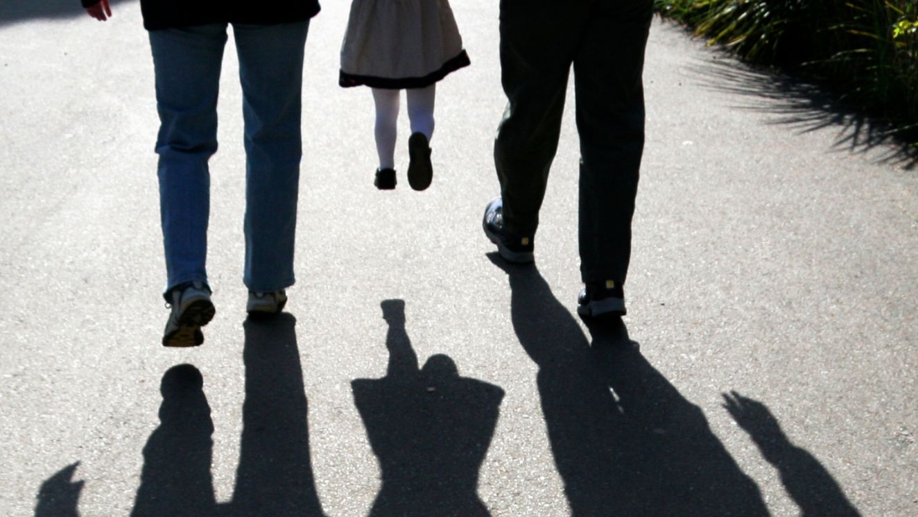 INSA - Child Welfare and Parents' Rights