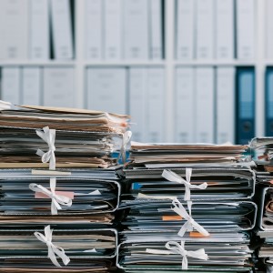 Data Protection Authority - Access to NAV and Barnevern Records